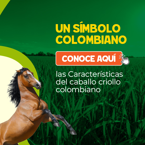 Agroexpo